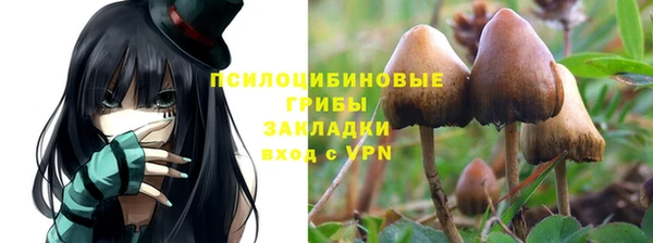 каннабис Лабытнанги
