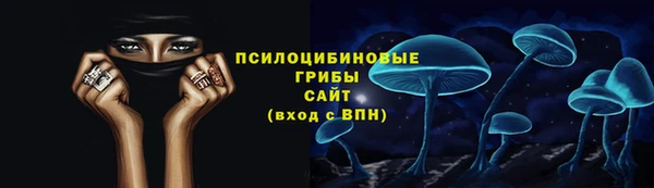 шишки Ладушкин