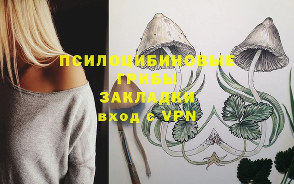 первитин Лагань