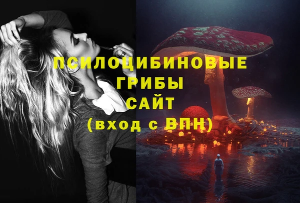 первитин Лагань