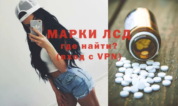 шишки Ладушкин
