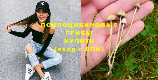 каннабис Лабытнанги