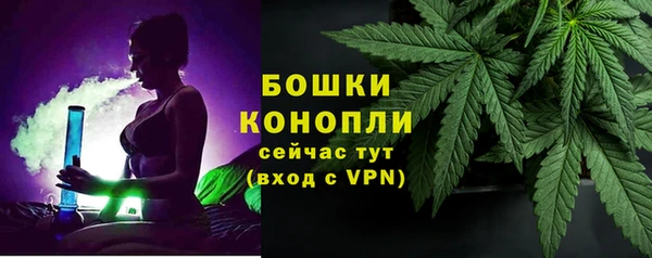 шишки Ладушкин