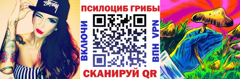 цена наркотик  Чернушка  Псилоцибиновые грибы мухоморы 