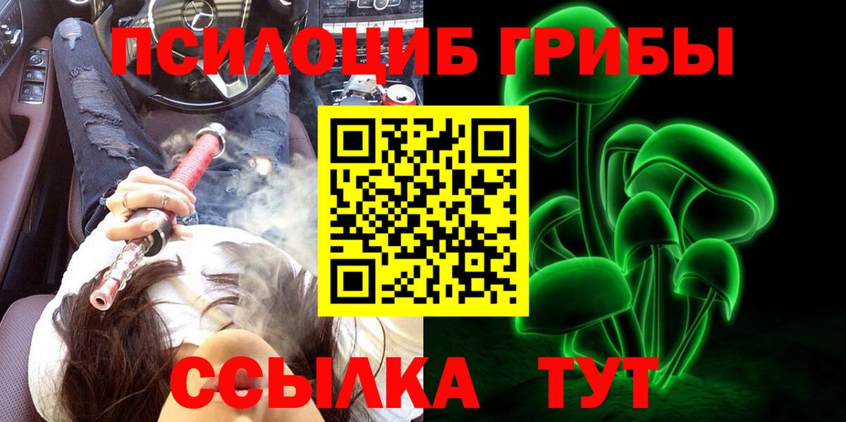 Псилоцибиновые грибы мицелий  Вход с VPN  Чернушка 